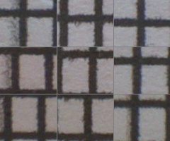 Panasonic Lumix G Vario 100-300mm F4-5,6