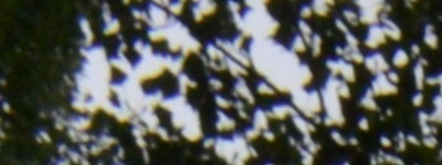 Nikon 18-55mm f/3,5-5,6G AF-S DX VR