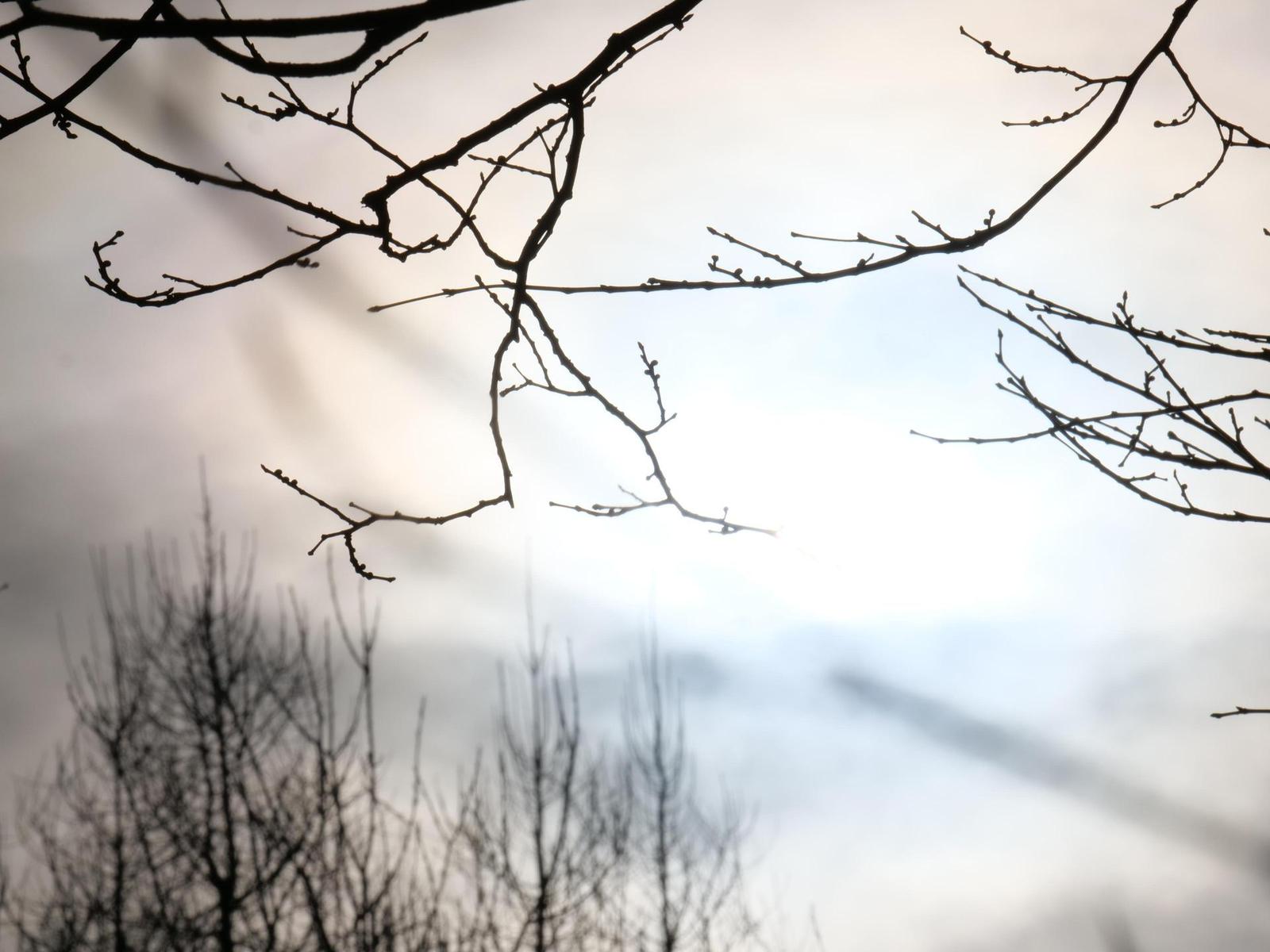 Panasonic Leica DG Elmarit 200mm / F2.8 / Power O.I.S.