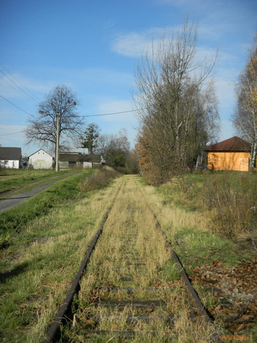 Nikon Coolpix S1100pj: kino v kompaktu