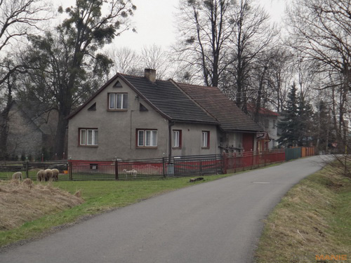 Sony Cyber-shot TX10: odolný zálesák