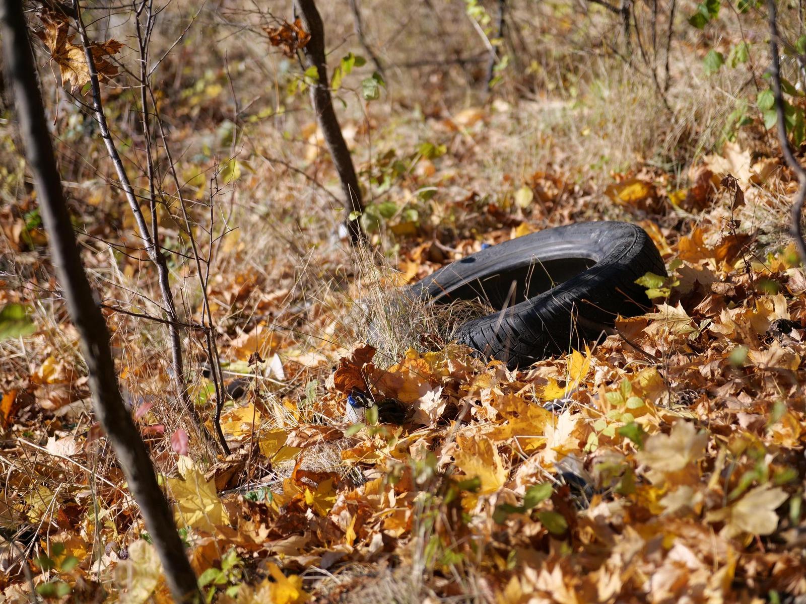 Panasonic Leica DG Vario-Summilux 25-50mm F1.7 ASPH.