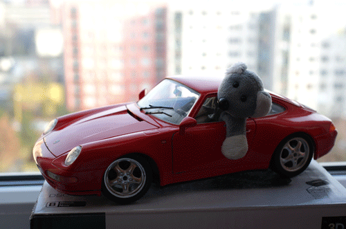 Fotíme s Koalou: Lesk a bída sekvenčního snímání