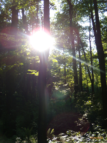 Nikon Coolpix P60: rychlý maratonec