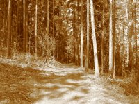 Canon PowerShot A520: Tak trochu jiné Áčko s plným manuálem