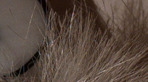 Panasonic Lumix LX100: pozoruhodný profi kompakt