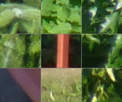 Panasonic Lumix TZ30: pokračovatel slavného rodu?