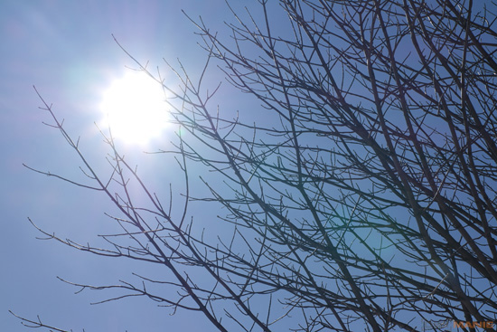 Samsung 60mm F2.8 Macro ED OIS SSA