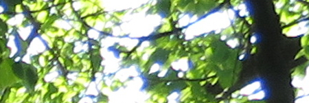 Canon PowerShot SX720 HS: kapesní šmírování