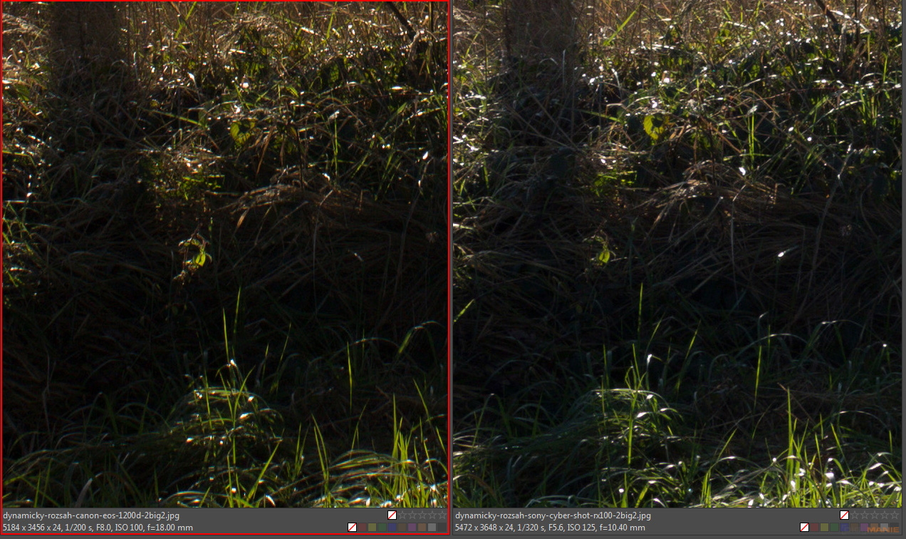 DSLR vs kompakt: Canon EOS 1200D s 18-55mm, Sony RX100