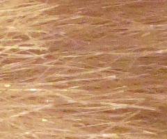 Canon PowerShot G10: stále mezi nejlepšími