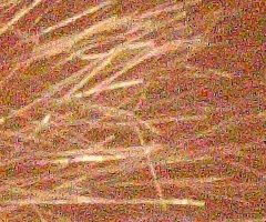 Canon EOS 500D: povedený pokračovatel rodu