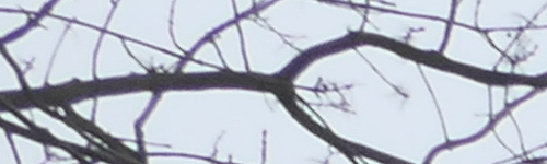 Panasonic Lumix LX15: noční borec