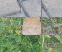 Panasonic Lumix FZ200: ultrazoomové překvapení roku