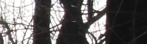 Canon EF-S 18-135mm f/3.5-5.6 IS Nano USM