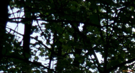 Zoner Photo Studio 15 PRO