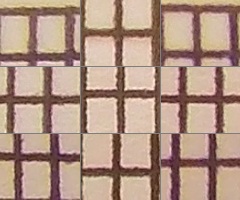 Nikon Coolpix L810: pro nenáročné