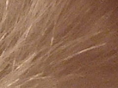 Fujifilm FinePix HS20EXR: důstojný nástupce