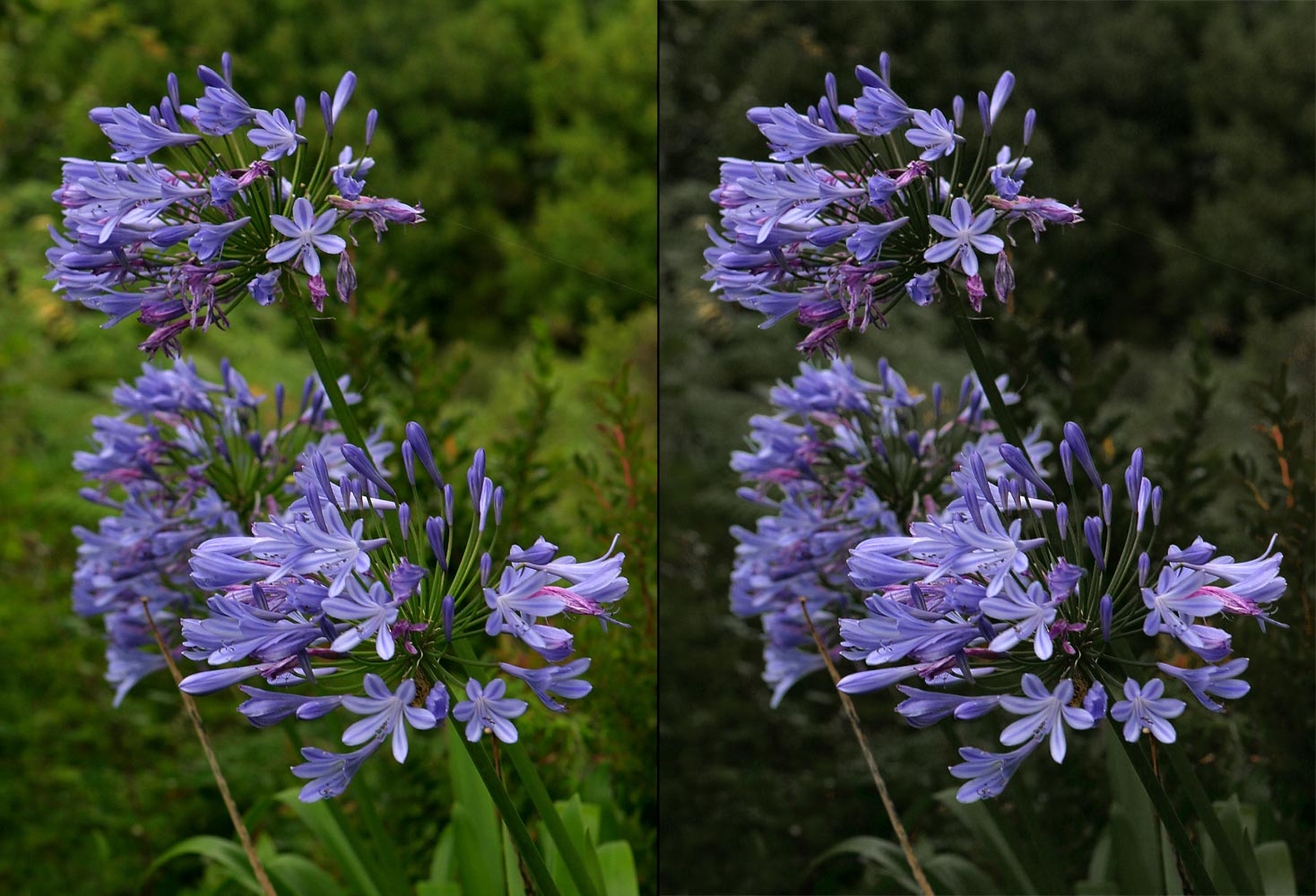 Úpravy fotografií v PC, 8.díl - barvy podruhé