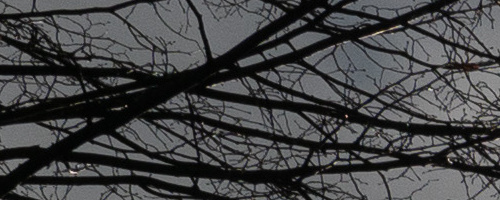 Panasonic Leica DG Vario-Summilux 10-25mm F1.7 ASPH.