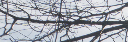 Panasonic Lumix G Vario 12-32mm f/3.5-5.6 ASPH. / MEGA O.I.S.