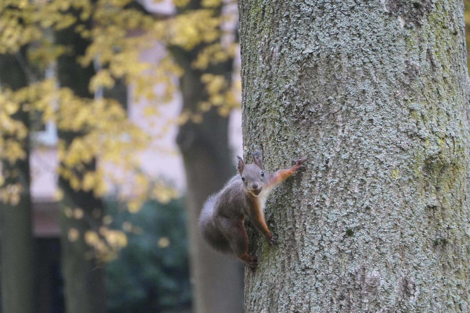 Panasonic Lumix TZ200: kamarád na cesty