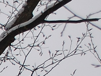 Dva objektivy nebo jeden ultrazoom?