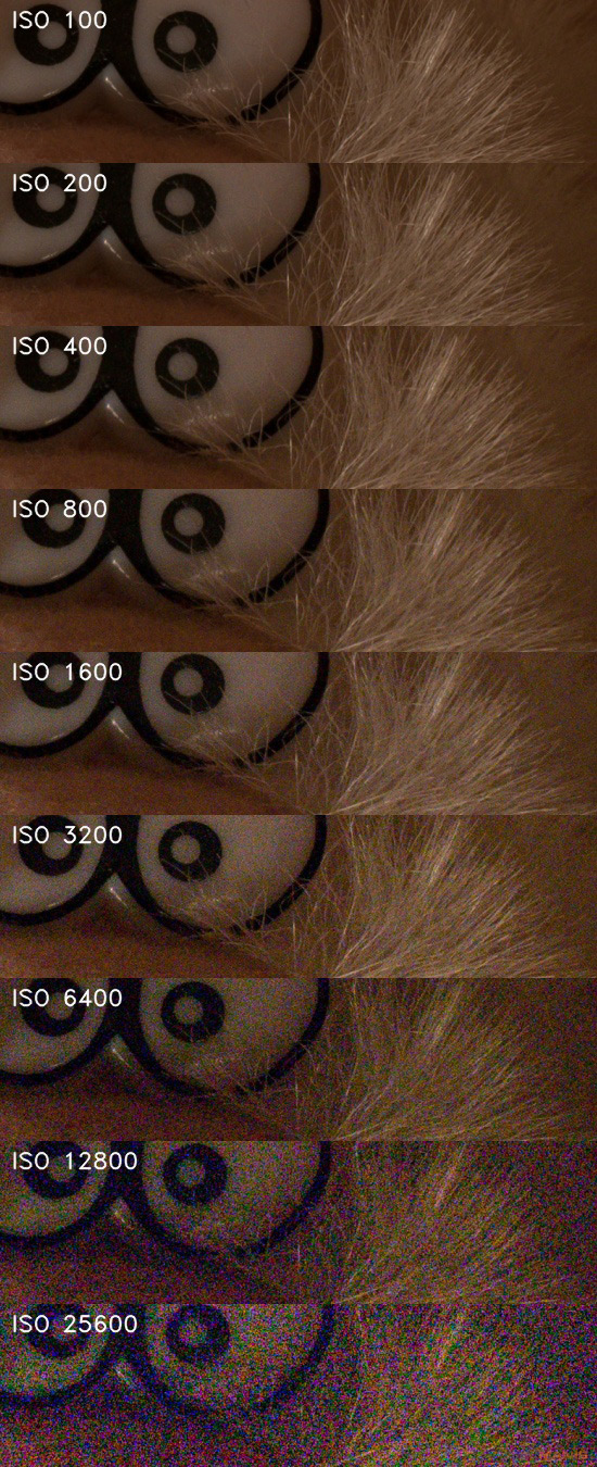 Nikon D3300: drobek se silným srdcem