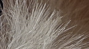 Sony Cyber-shot RX100 III (RX100M3): superSony