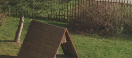 Nokia Lumia 1020 vs. 808 PureView