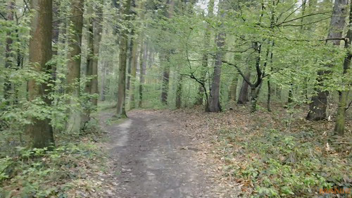 Sony Bloggie Touch: videokamera fotoaparátem?