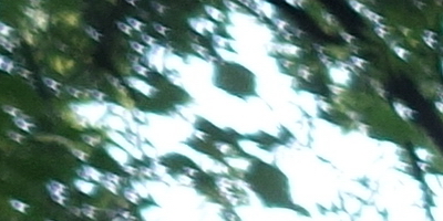 Sony Cyber-shot RX100: terminátor zrcadlovek