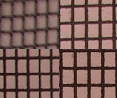 Olympus M.Zuiko Digital 14-150 mm F4-5,6