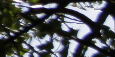 Sony SAL-1855 (DT 18-55mm F3,5-5,6 SAM)