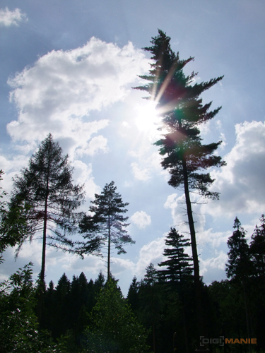 Fujifilm S100FS: jde zrcadlovkám po krku