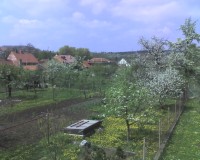 Téma pro tento měsíc - Jak fotí fotomobily, díl I.