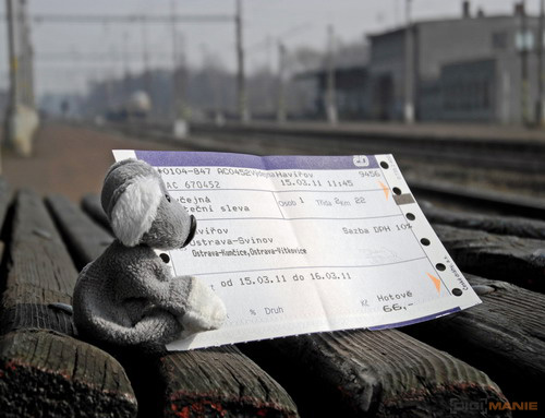 Fotíme s Koalou: Ostření