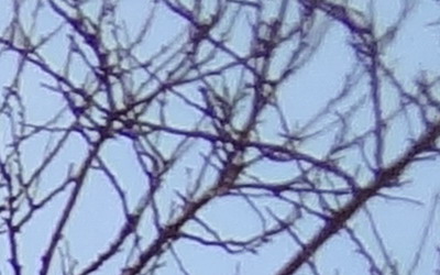 Sony Cyber-shot WX7: překoná skvělou WX5?