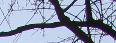 Megatest ultrazoomových objektivů