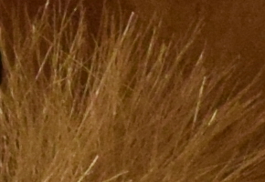 Nikon D5300: bezdrátový DSLR turista