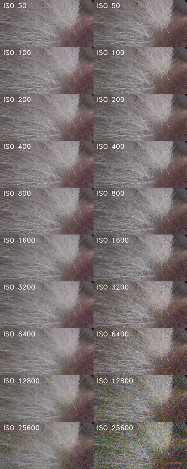 Panasonic Lumix GH6: s revolučním snímačem