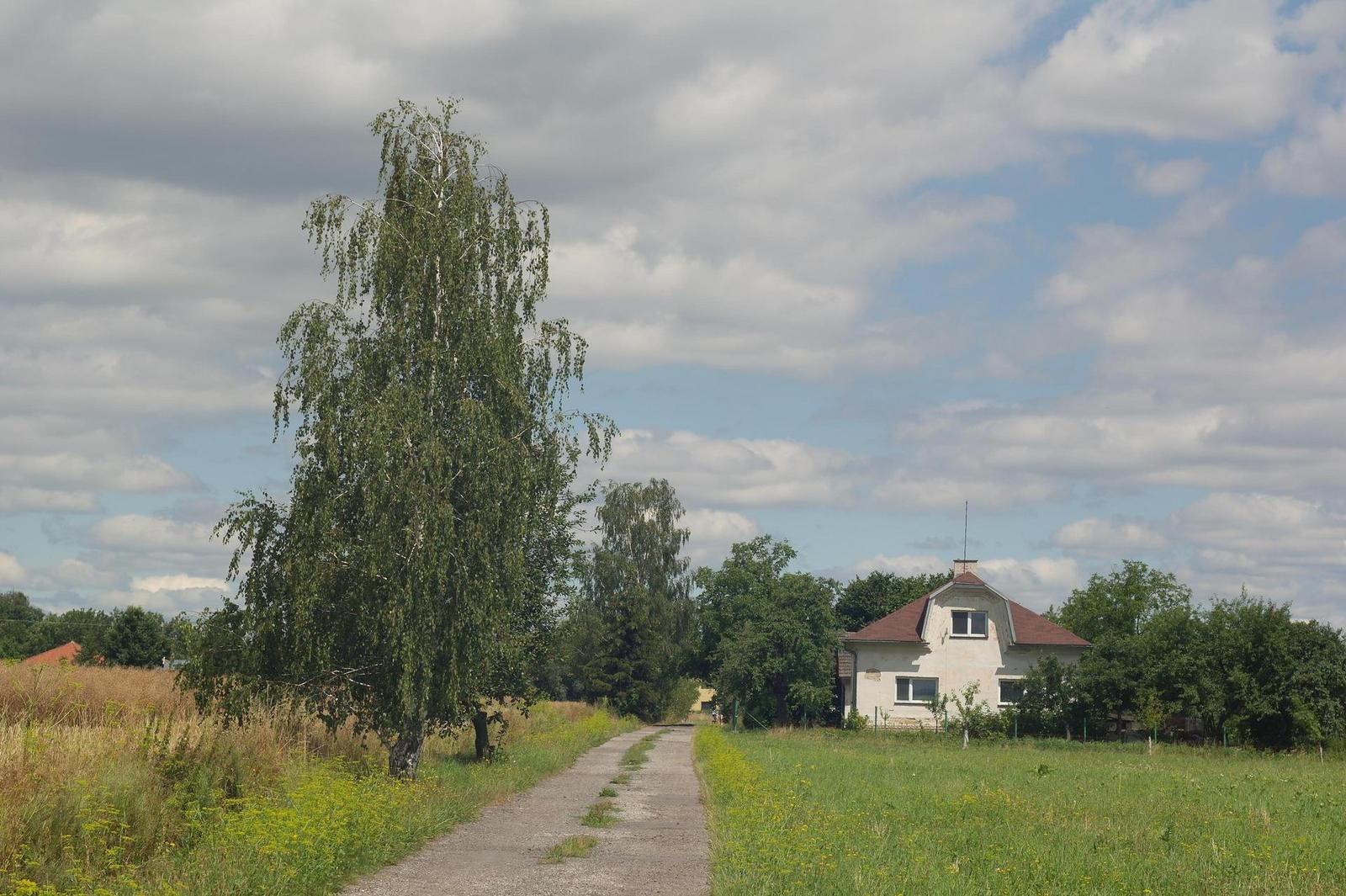 Minolta MC Rokkor-PF 55mm F1.7 (MD)