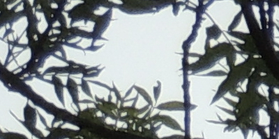 Nikon Coolpix P510: lovec rekordů