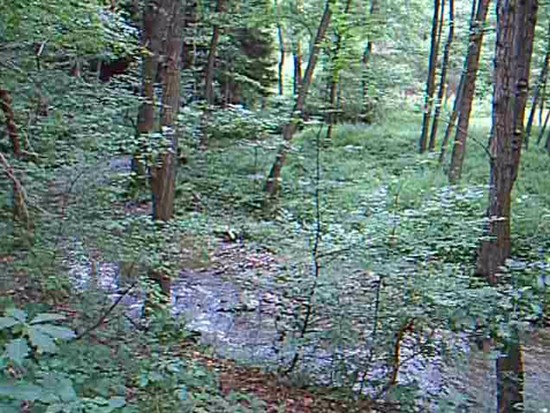 Acer CP-8660: zajímavý rebrand