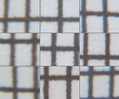 Fujifilm X-S1: jedinečný