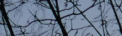 Panasonic Leica DG Vario-Elmarit 12-60mm / F2.8-4.0 ASPH. / Power O.I.S.