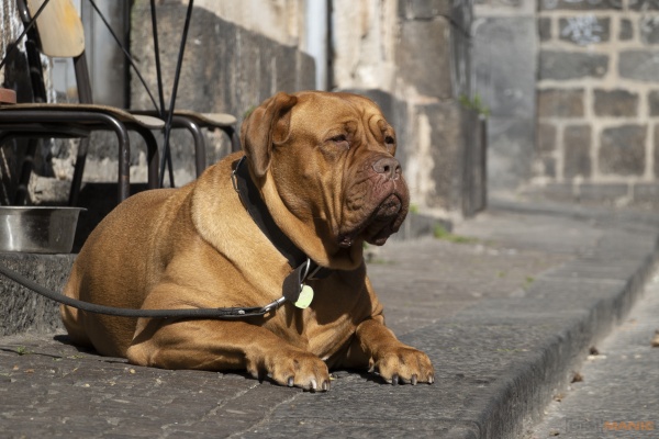 Super Resolution v Camera Raw: umí AI opravdu zvýšit rozlišení?