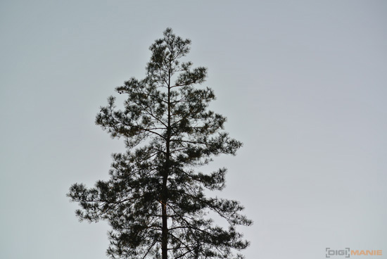 Nikon 1 NIKKOR 30-110mm 1:3,8-5,6 VR