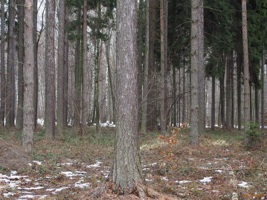 Olympus PEN E-PL5: s výkonnějším srdcem