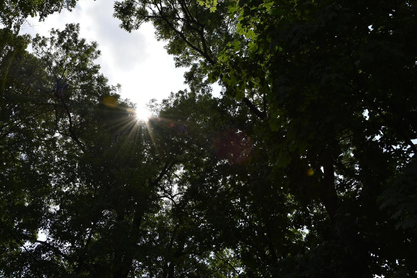 Nikon D7200: přesvědčivé zrcadlo